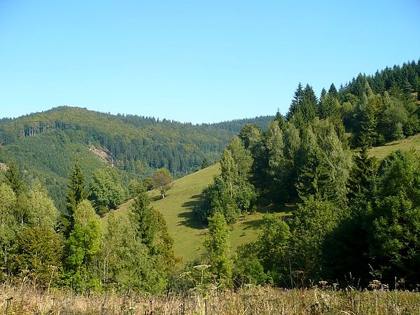 sluncem zalitý Přelač