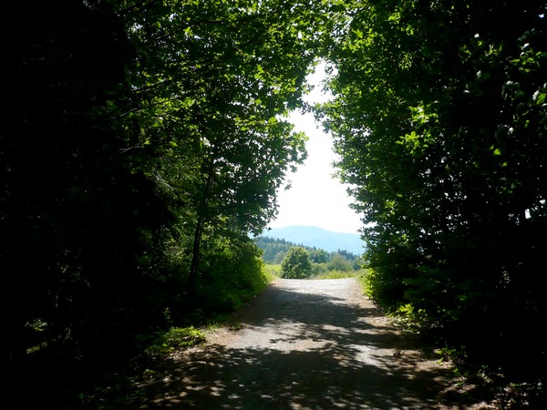 hra světla